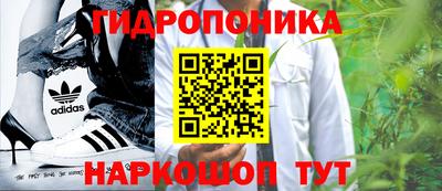 герыч Кингисепп